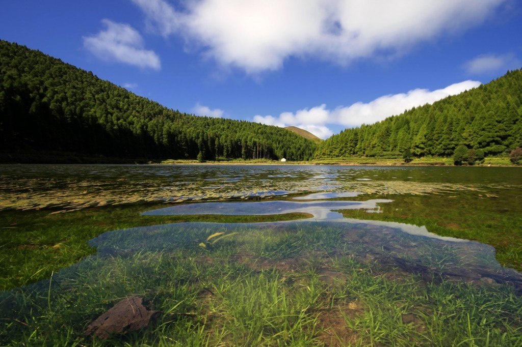 Canarios Lake - S. Miguel Azores