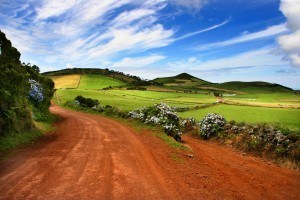 Sete Cidades country road - S. Miguel - Azores