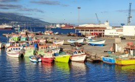 Fishing boats - Ponta Delgada - Azores