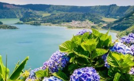 Azores Travel and Tours - Sete Cidades lake and Hydrangeas - S. Miguel - Azores | Azores.com