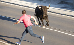 bullfights on a rope in the terceira island, azores