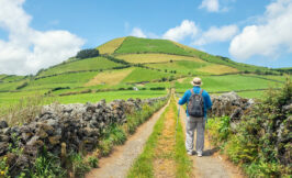 A man Hiking in Faial Island in the Azores