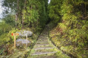 azores vs hawaii - pico da vara 