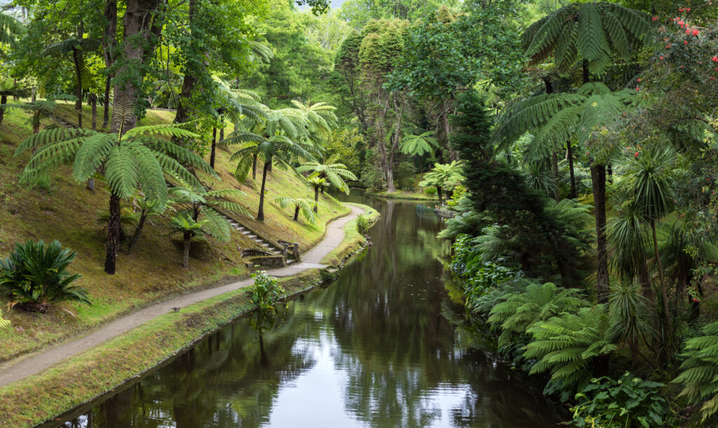 Terra Nostra Park in São Miguel Island in the Azores