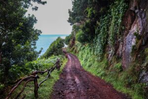 Trail in são jorge, azores