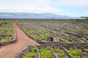 Landscape of UNESCO World Heritage vineyards on Pico Island at the Azores 