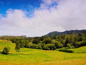 santa maria landscape in azores