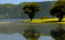 View of Sete Cidades lake - Sao Miguel - Azores