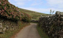 iking to morro dos homens in Corvo Island, azores