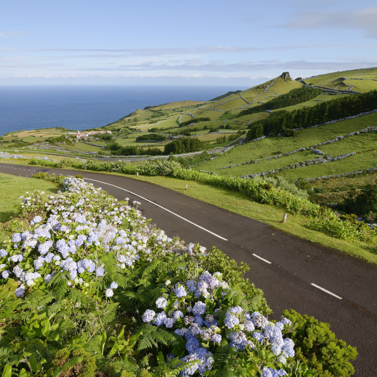 azores group tours