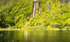 Water falls in Rocha dos Bordoes Flores island - Azores