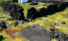 Pico lava fields - Azores Portugal