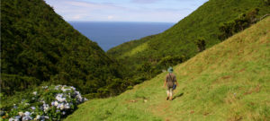 azores woman hydrangeas hiking