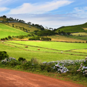 sao jorge countryside red road azores