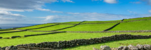 terceira farm fields blue sky azores