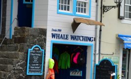 Madalena store front - Pico island Azores Portugal