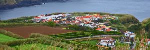 sao miguel north coast detail small