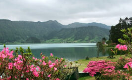 Furnas Lake - Sao Miguel - Azores