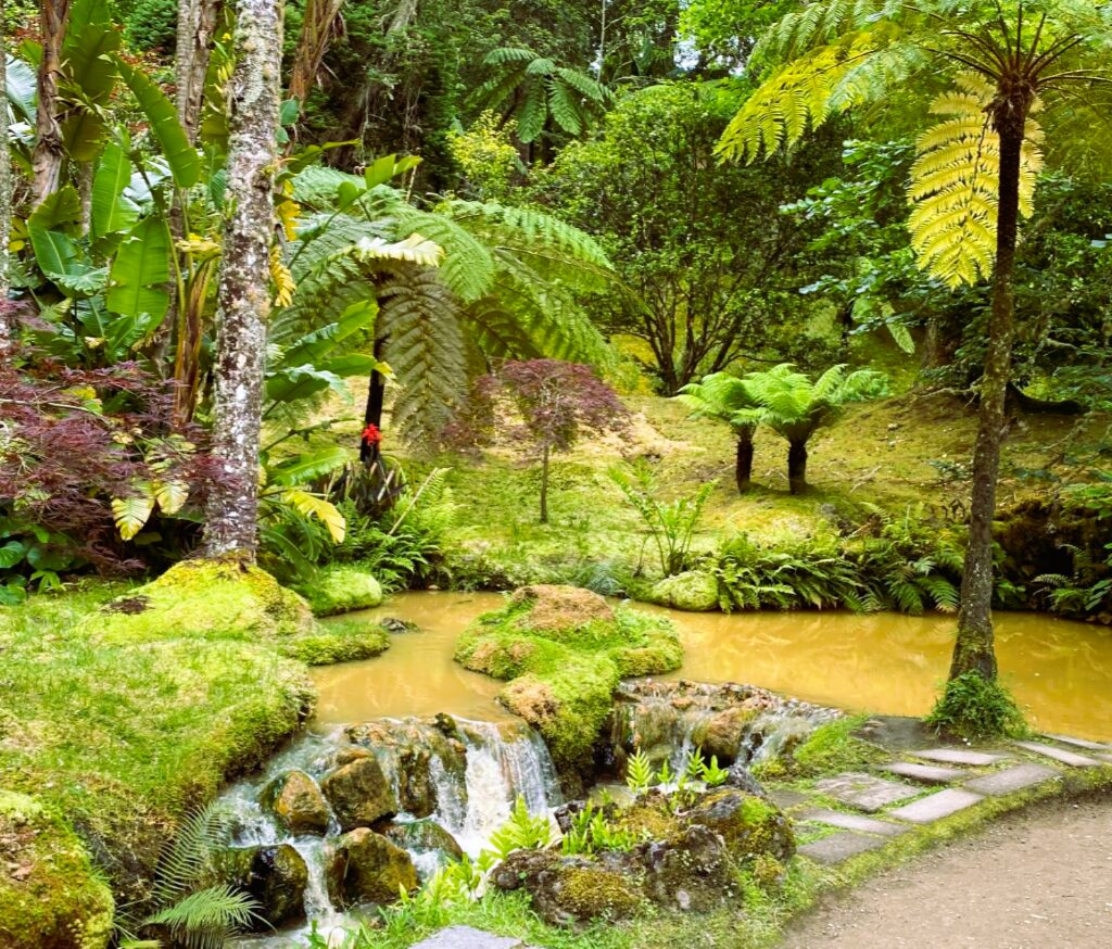 Lush gardens and thermal pool at Terra Nostra Park in Furnas, Azores