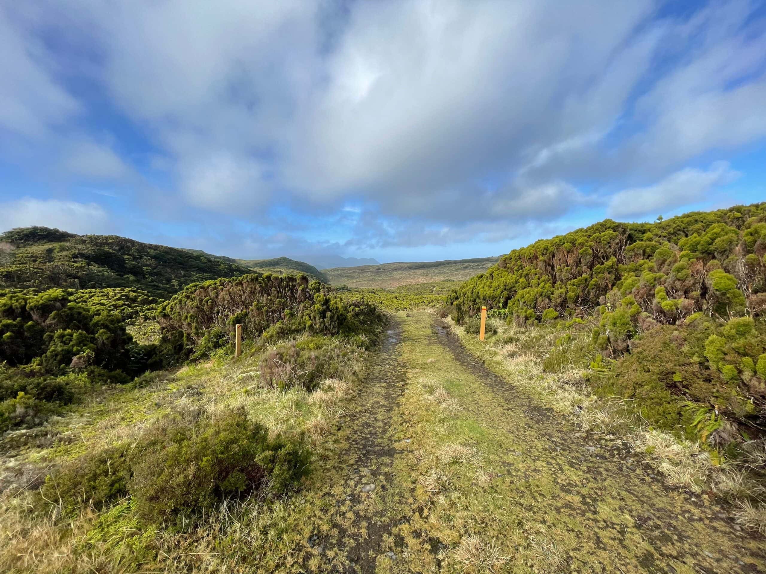Triathlon Training in the Azores: Swim, Bike & Run Guide